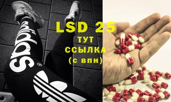 спайс Елизово