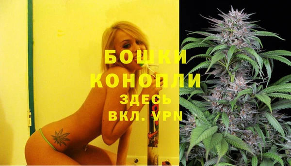 спайс Елизово