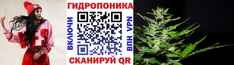 Каннабис семена  блэк спрут ONION  Злынка 